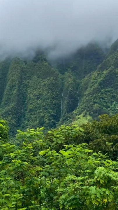 LES PLUS BELLES randos nature à faire à Hawaï