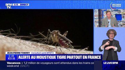 Alerte au moustique tigre partout en France, quelles sont les bonnes pratiques pour s'en protéger?