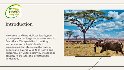 Tanzania Safari Tour with Kibera Holiday Safaris