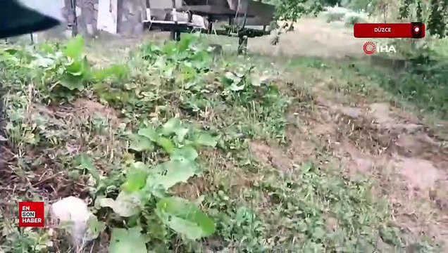 Düzce'de elektriği kesmeye gelenlere silah çekti