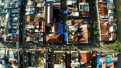 "El Asombroso Sentido de Alerta de Nuestros Amigos Animales"