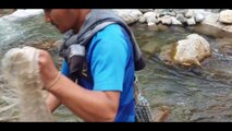 cast net fishing in small river of Nepal | asala fishing | himalayan trout fishing |