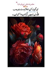 Hazrat Ali pak ka farman (Subhanallah)