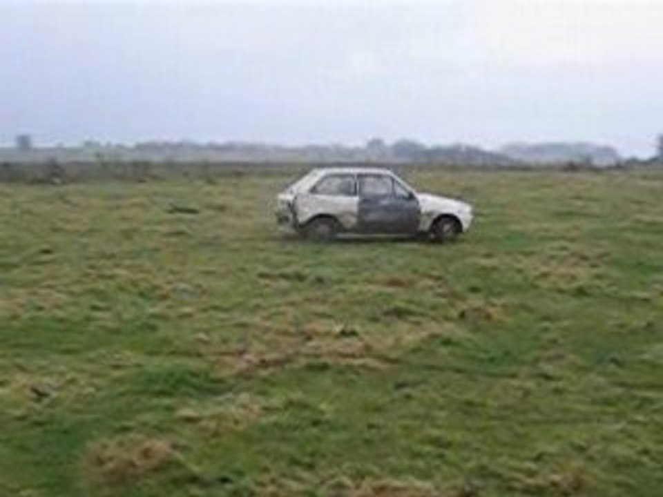 Fiesta rally 6 001