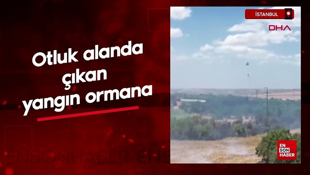 Silivri'de otluk alanda çıkan yangın ormana sıçradı