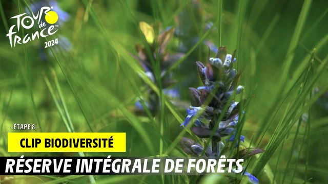 Tour de France de la biodiversité - Etape 8 - #TDF2024