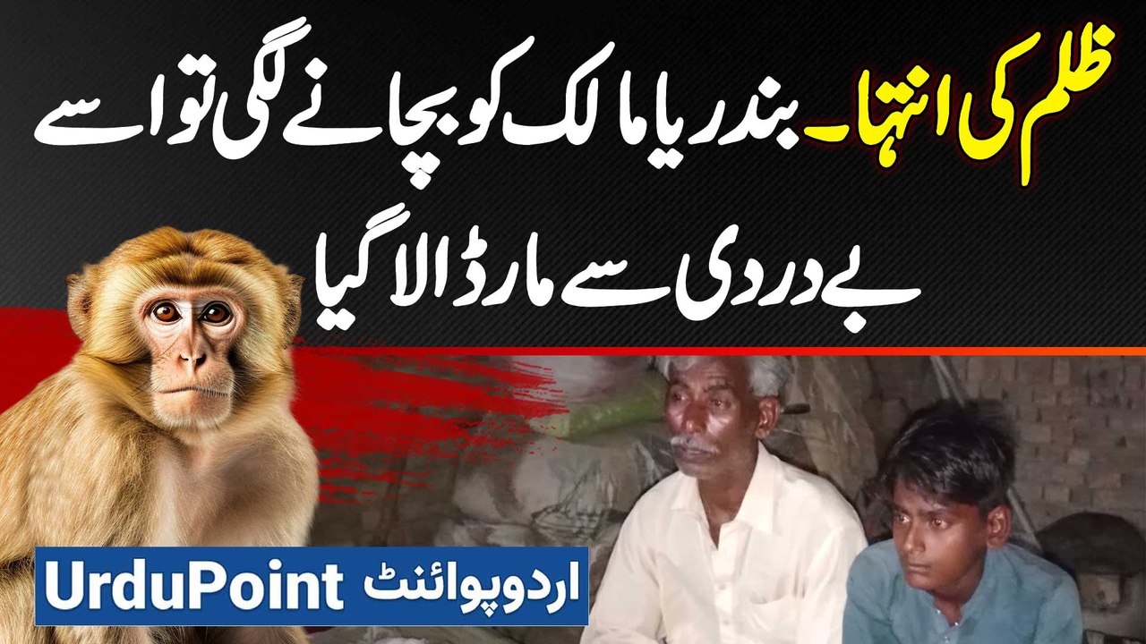 Zulm Ki Inteha - Monkey Apne Maalik Madari Ko Bachane Lagi Tu Usse Bedardi Se Maar Dala