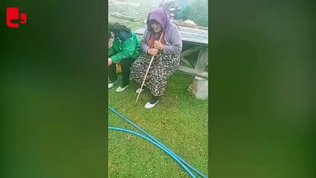 Ordu'da AKP'li belediye köylülerin yayladaki evlerini yıktı: Hayvanlar öldü, köylüler dışarda kaldı