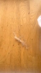 Astuce Simple pour Ramasser la Poussière en un Clin d'Œil 🧹