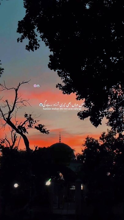 یہاں بھی تم ، وہاں بھی تم--♥️--_._._._._._._.__harry _like _réel _reels _reelsinstagram _reelitfeelit _urdu _urduposts _urdughazal _urdupoetry _urduthoughts _urdushairi _urduinsta _feed _explore _engageandgrow(MP4)