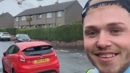 Feathered frenzy: Seagulls attack a boy and dog on their stroll