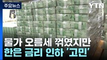 물가 오름세 꺾였지만...한은 금리 인하 '고민' / YTN