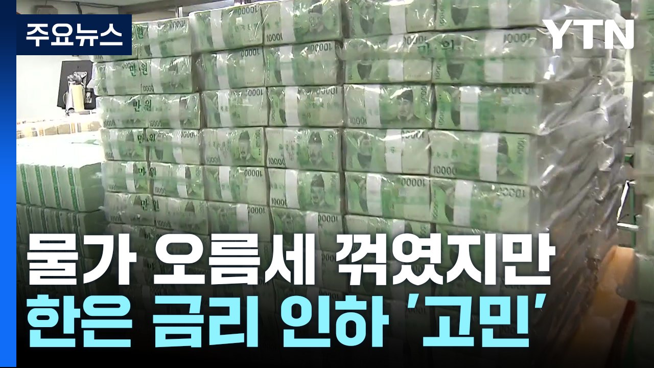 물가 오름세 꺾였지만...한은 금리 인하 '고민' / YTN