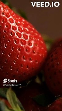 The Surprising Health Benefits of Strawberries!
