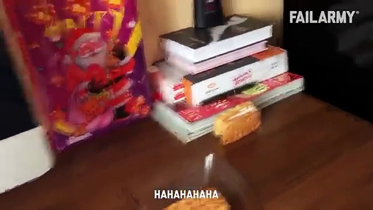 Funny_Cat_Fails___Funny_Cat_Compilation_-_FailArmy(360p)