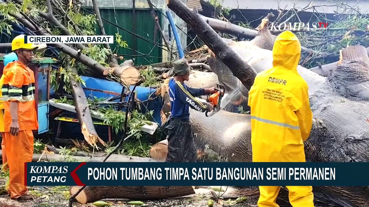 Hujan Deras dan Angin Kencang: Banjir Rendam 3 Kecamatan di Pulau Buru, Pohon Roboh di Cirebon
