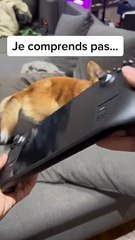 Mon SteamDeck a un problème...