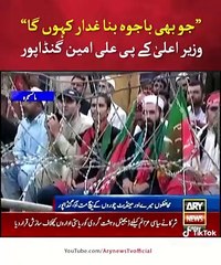 Imran Khan tigers beautiful speech viral video on Ary News