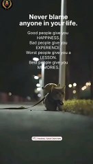 Never blame anyone in Your life __English Quotes of Life _ Full screen whatsapp status _(360P)