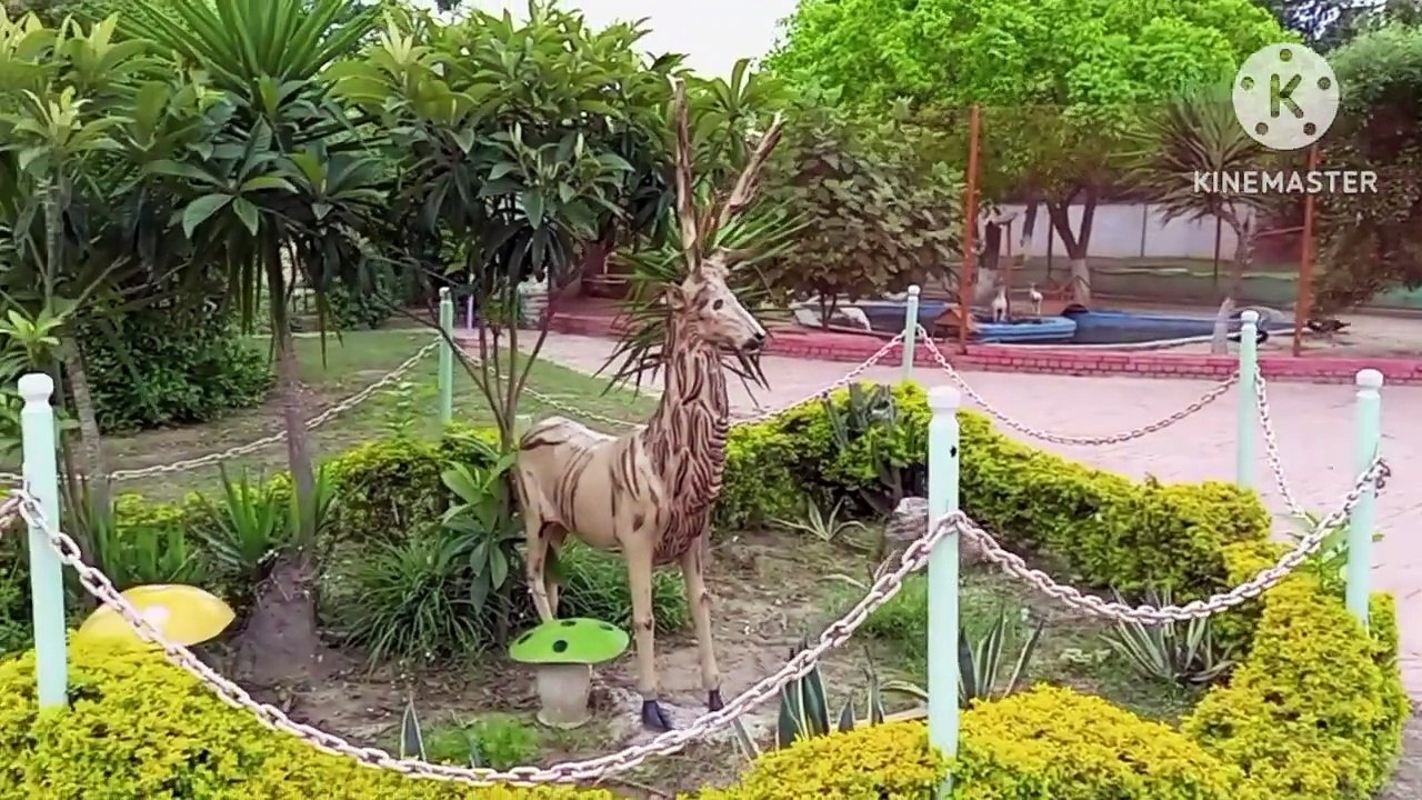 visit to zoo