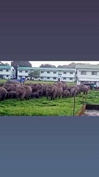 Entertainment improving skills