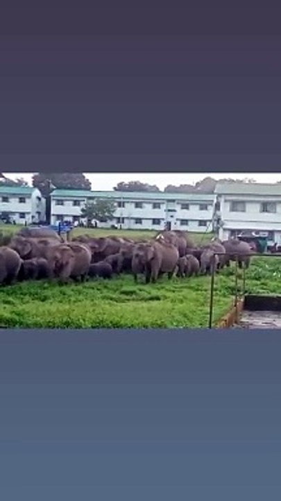 Entertainment improving skills