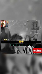 Funny road show and entertainment vodeos