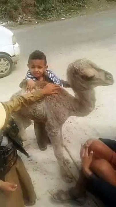 زهير سمير الجلوب