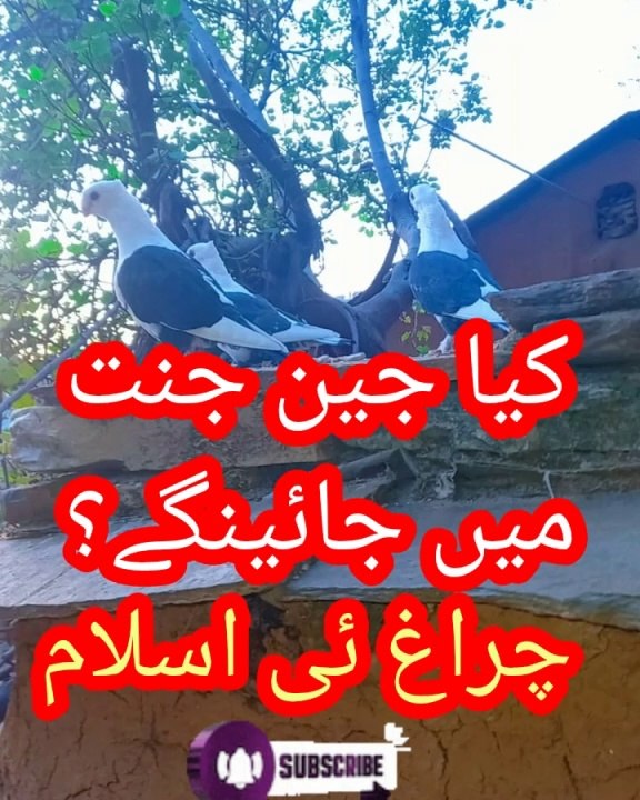 کیا جن جنت میں جائیں گے