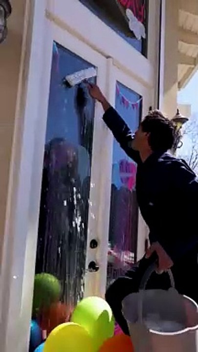 The_Window_Washer__