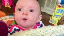 The Cutest Babies Compilation - Cute Baby Videos