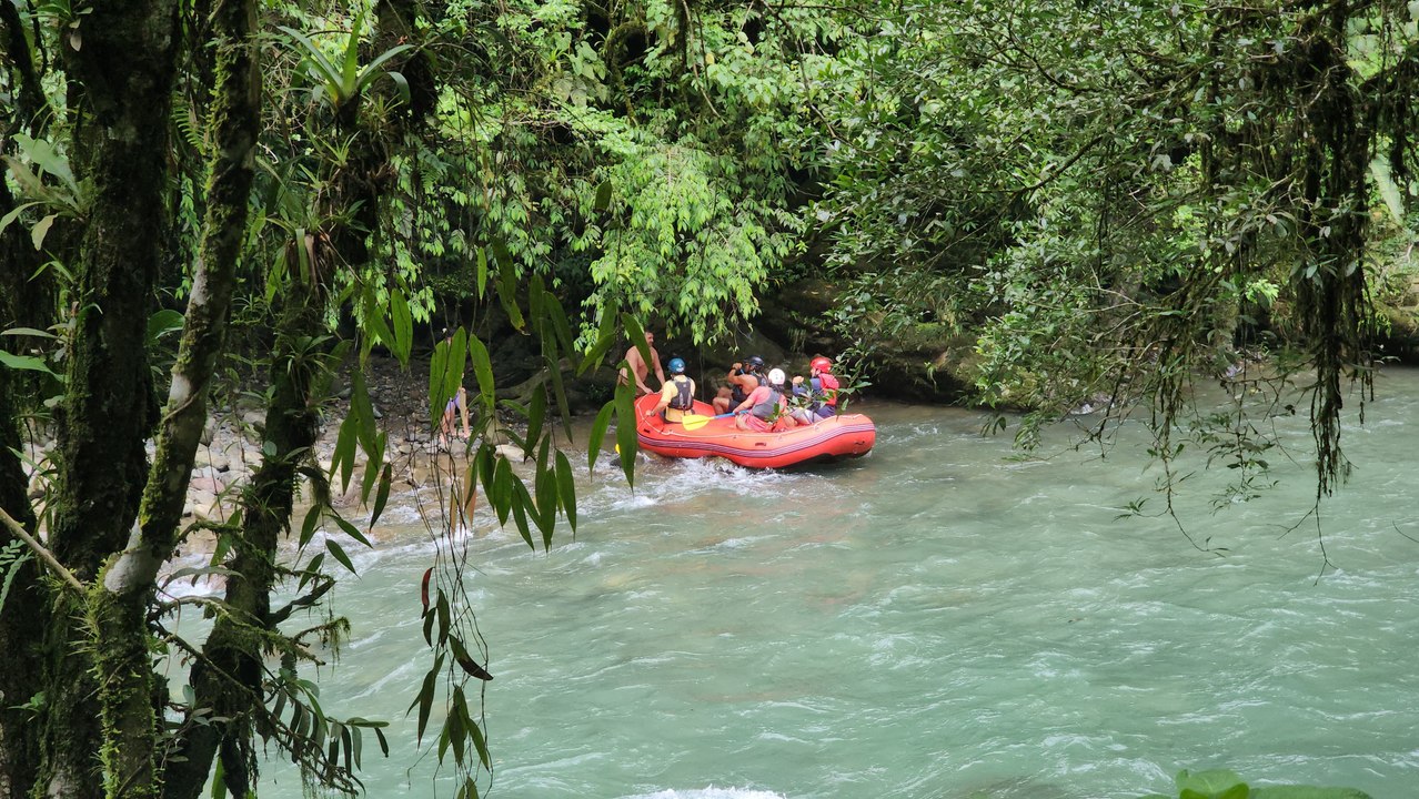 Rescate Pejibaye Cartago