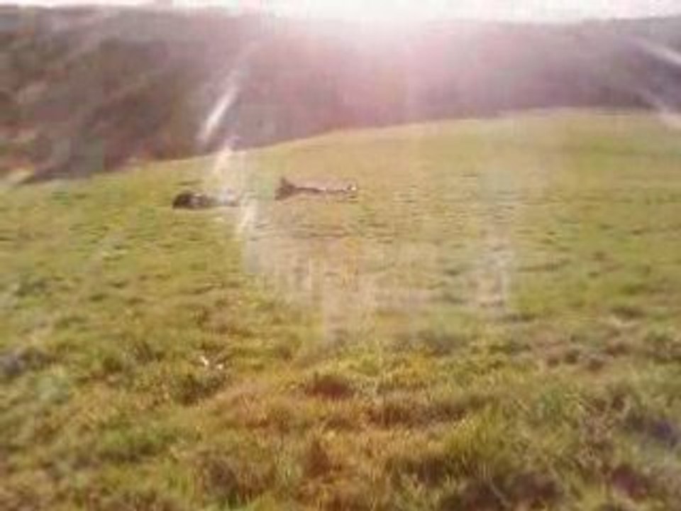 roulage dans l'herbe2