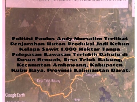 Paulus Andy Mursalim, Anggota DPRD Provinsi Kalimantan Barat, Jarah Hutan Produksi Jadi Kebun Kelapa Sawit Seribu Hektar, Tanpa Pelepasan Kawasan Terlebih Dahulu di Dusun Benuah, Desa Teluk Bakung, Kecamatan Ambawang, Kabupaten Kubu Raya, Provinsi Kalbar