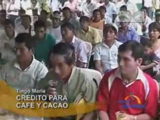 CRÉDITO PARA CAFÉ Y CACAO - TINGO MARÍA