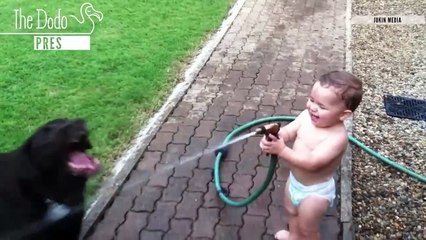 Babies Laughing At Pets _ The Dodo(720P_HD)
