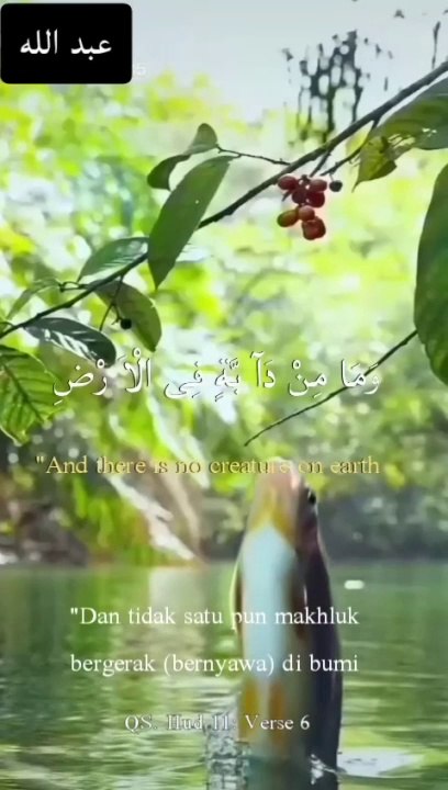 Beautiful  verses