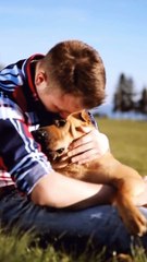 जानवरों का प्रेम || आचार्य प्रशांत