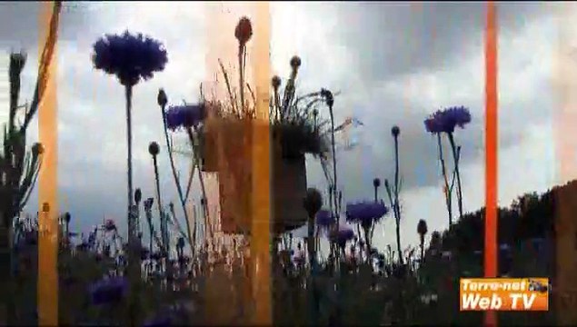 Les Trames vertes, de la peinture aux corridors écologiques