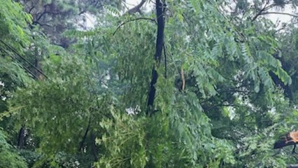 경기도에 비 피해 속출...토사 유출 등 21건 접수 / YTN