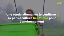 Une étude allemande le confirme : la permaculture bénéfique pour l'environnement