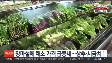 장마철에 채소 가격 급등세…상추·시금치↑