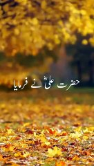 Hazrat Ali A.S Ny Farmaya