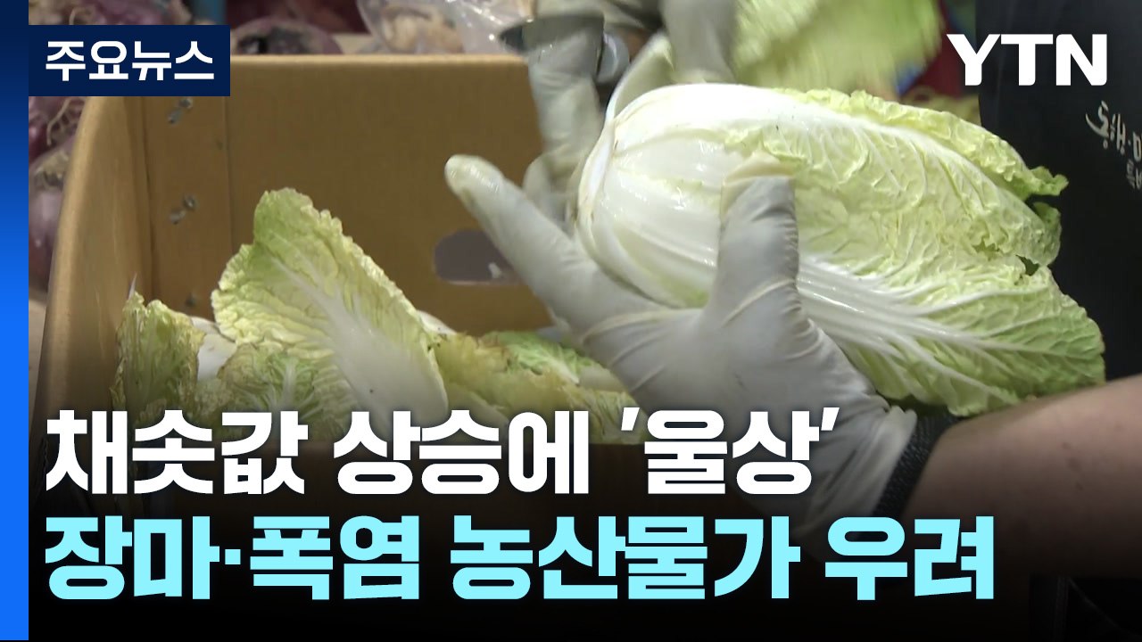 장마에 들썩이는 채솟값...소비자도 상인도 식당사장도 '울상' / YTN