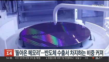 '돌아온 메모리'…반도체 수출서 차지하는 비중 커져