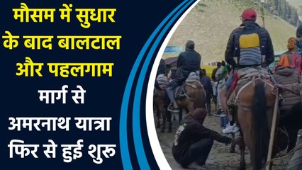 मौसम में सुधार के बाद बालटाल और पहलगाम मार्ग से अमरनाथ यात्रा फिर से हुई शुरू