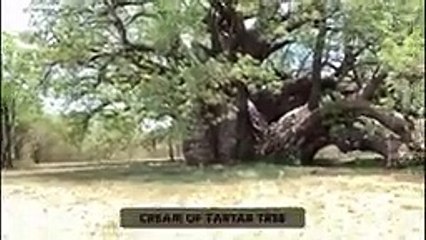 20_Most_MYSTERIOUS_Discoveries_In_Africa_Scientists_Can_t_Explain(144p)