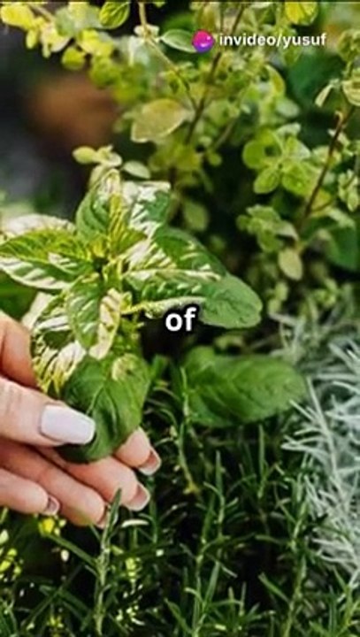 Natural cures