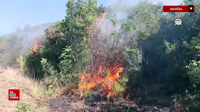 Manisa'nın Kula ilçesinde çıkan orman yangınına müdahale ediliyor