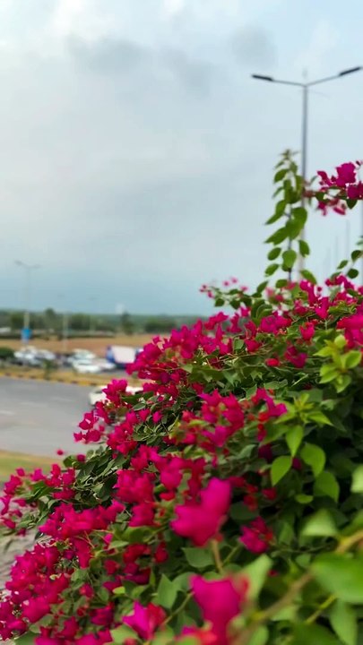 islamabad Beautifull view❤❤